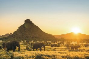 Sonnenuntergang mit Elefanten im Damaraland (Namibia)