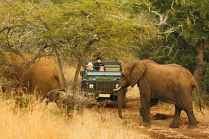 Familienreise mit Pirschfahrt im Manyoni Private Game Reserve, Südafrika