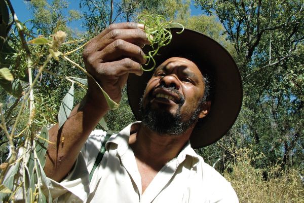 Die Aborigines - die Ureinwohner Australiens