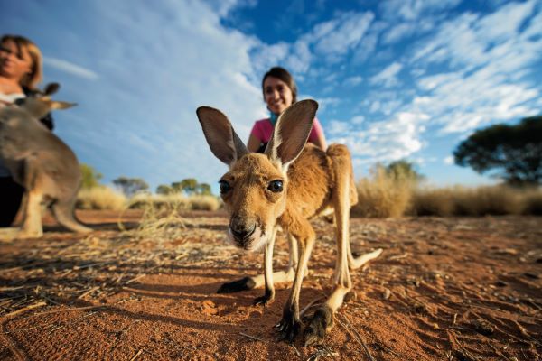 Northern Territory