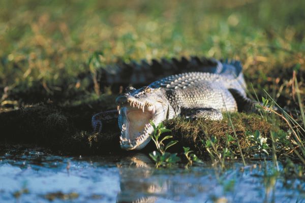 Northern Territory