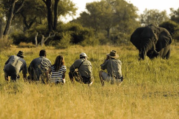 Buschwanderung im Moremi Game Reserve