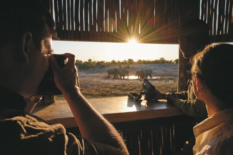 Elefanten am Wasserloch beobachten in der Savute Safari Lodge ©Verity Fitzgerald