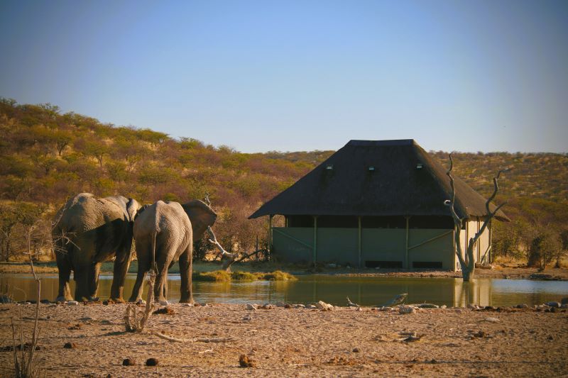 Sarafihoek Lodge mit Wasserstelle
