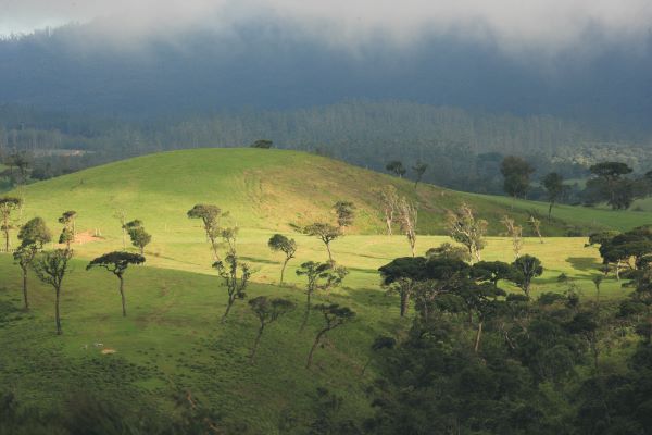 Sri Lanka Reisen