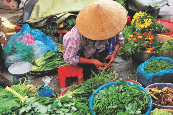 Vietnam Reisen