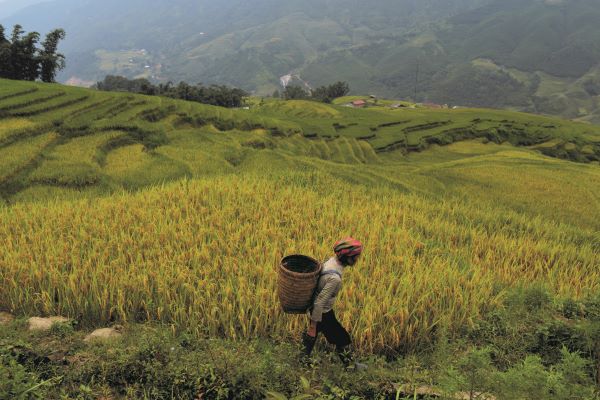 Vietnam Reisen