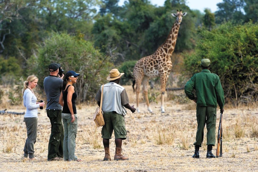 Safari Rundreisen